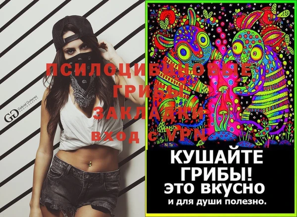 тгк Арсеньев